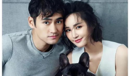 明星本人爆料吃瓜视频下载,揭秘娱乐圈幕后黑幕